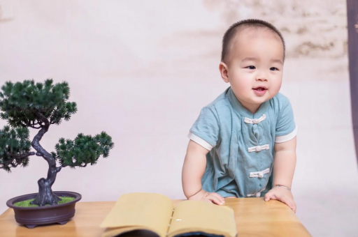 汶上可爱的企鹅宝宝
